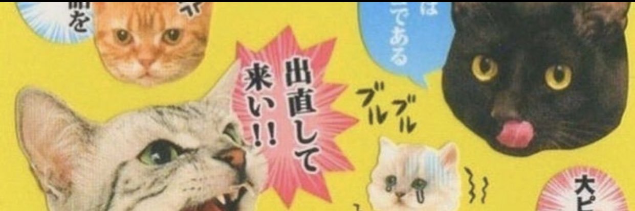 Picholette's profile banner image