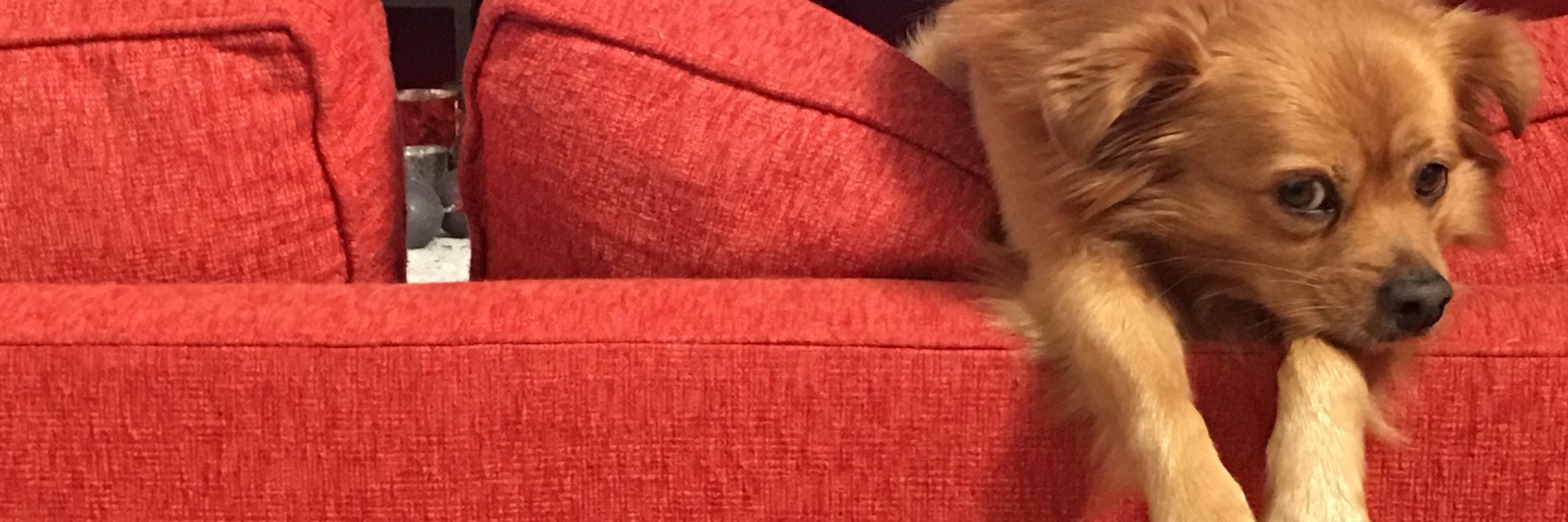 RomyJai's profile banner image