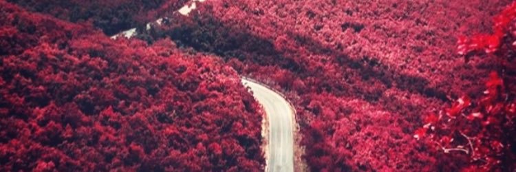 jeej568's profile banner image
