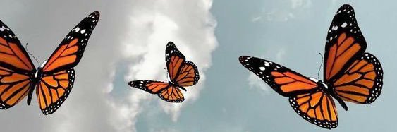 JessiRuizfm's profile banner image