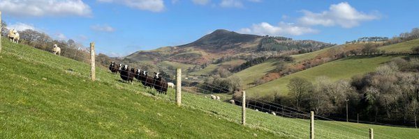 SAEvans66 Profile Banner