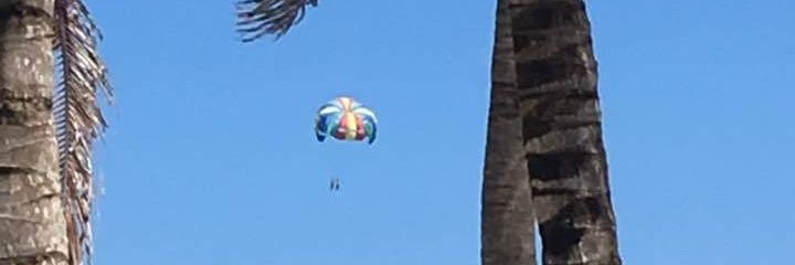 DAVID CUMMINGS banner