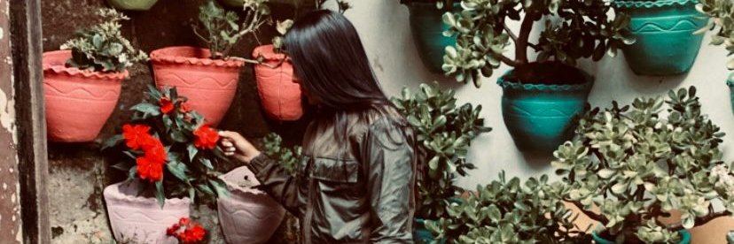 pitu1210's profile banner image