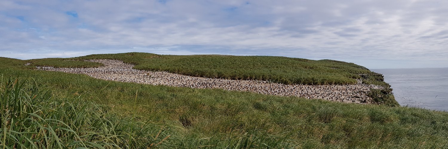Falklands Conservation banner