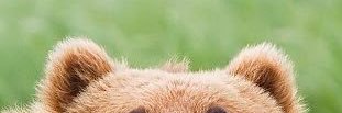 perribockrath's profile banner image