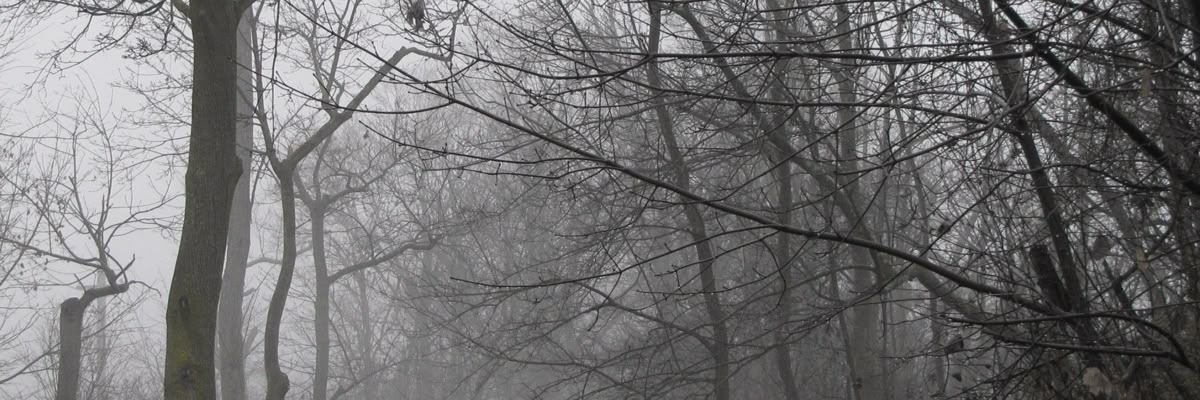 hersonask's profile banner image