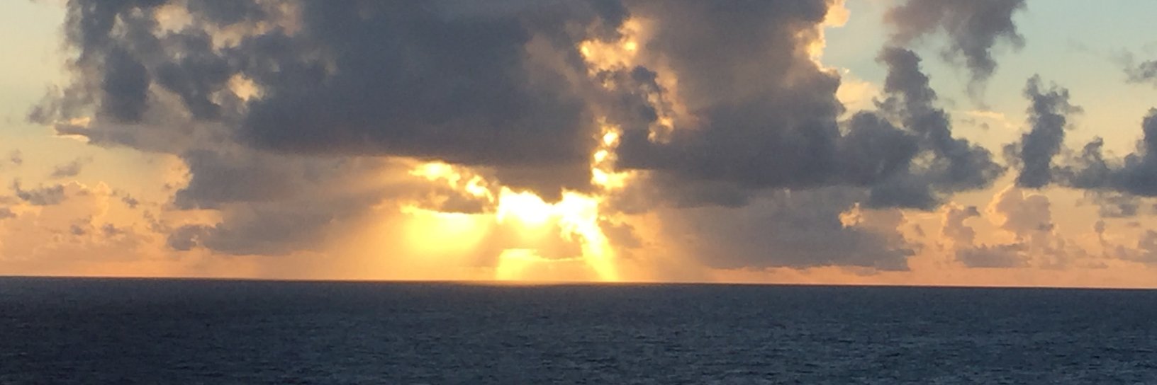 csarbo's profile banner image