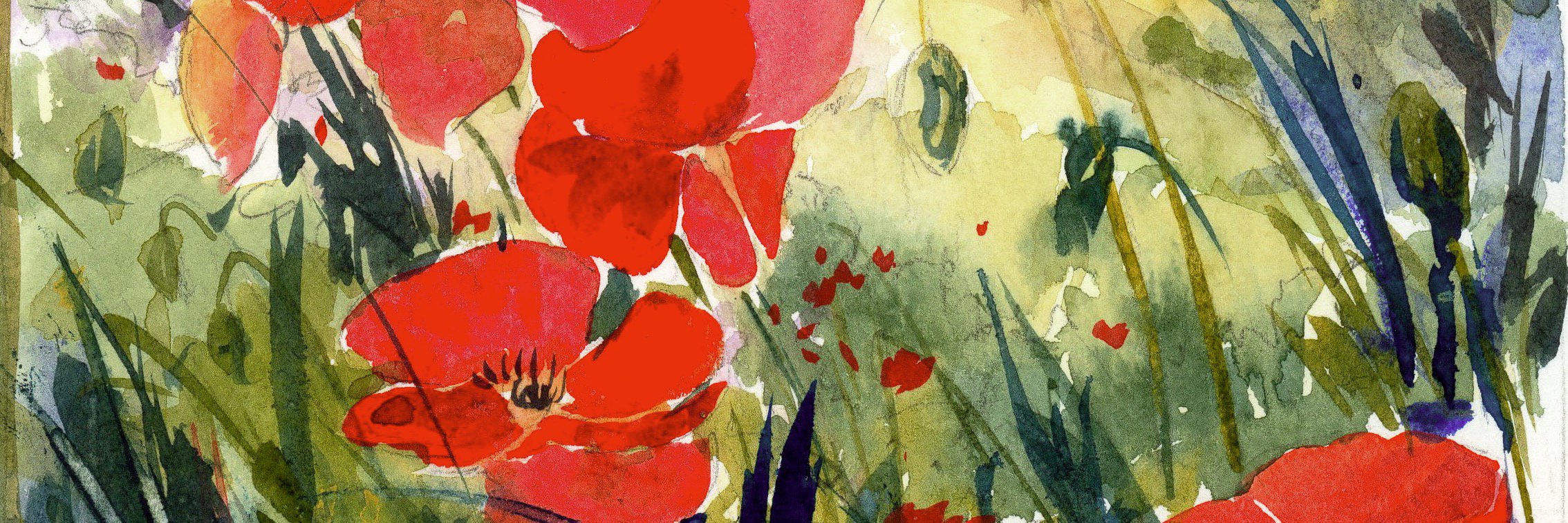 NancyEllenThomp's profile banner image