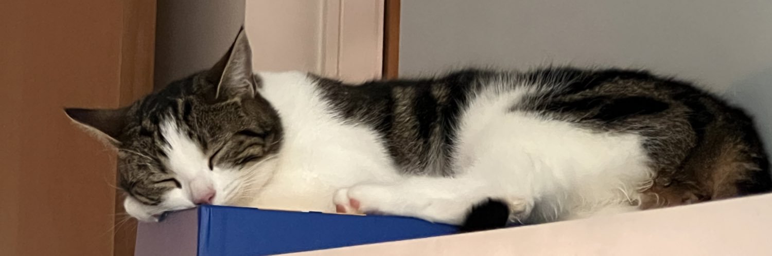 Eden McLaughlin banner