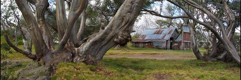 Dean Robert Watson banner