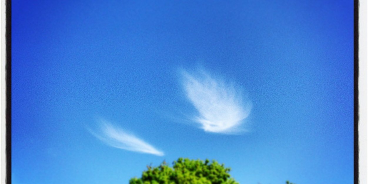 Deborah Hicks banner