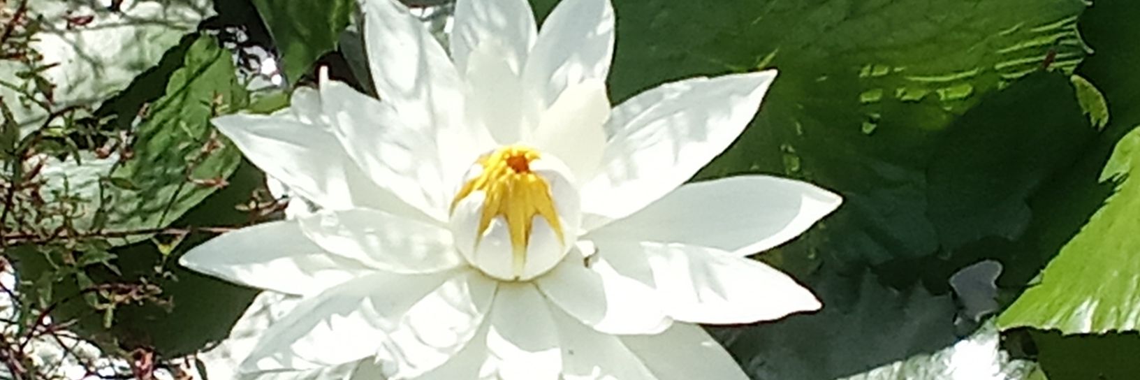 benbioye's profile banner image