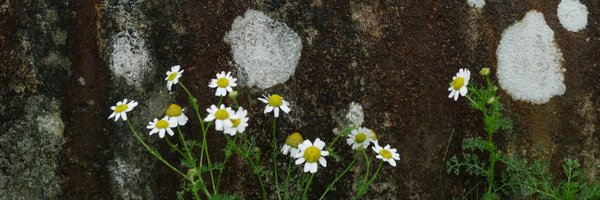 joriggall Profile Banner