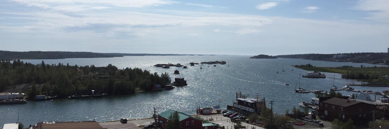 Brenda Johnson banner