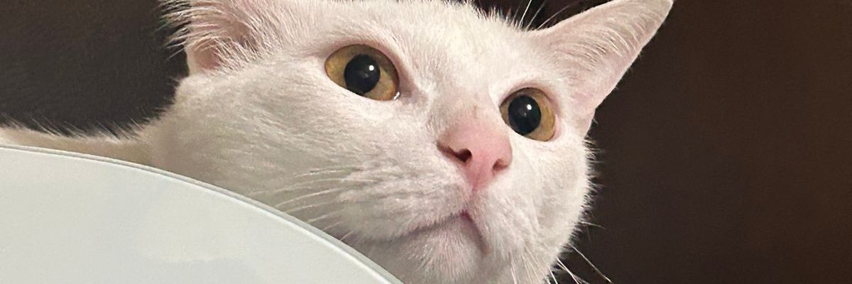ncc_bee's profile banner image