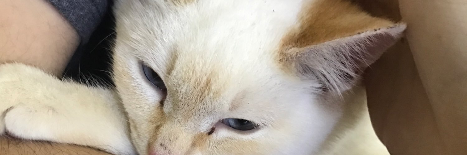 dropdeadmollly's profile banner image