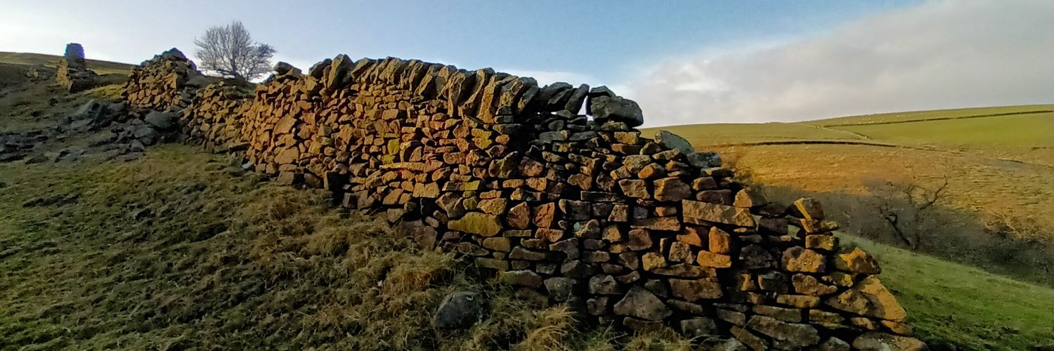 JaneLord68's profile banner image
