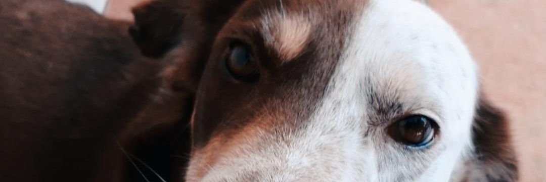 ayepaez_'s profile banner image