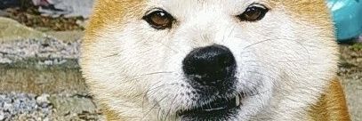 j_wej's profile banner image