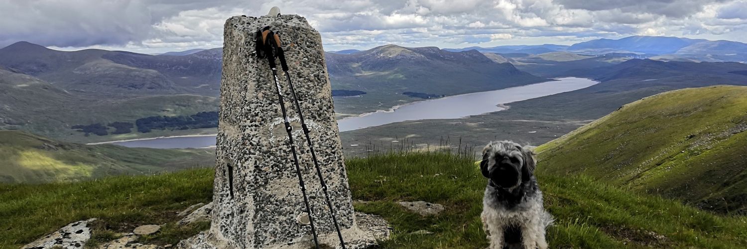 mr_golfpunk's profile banner image