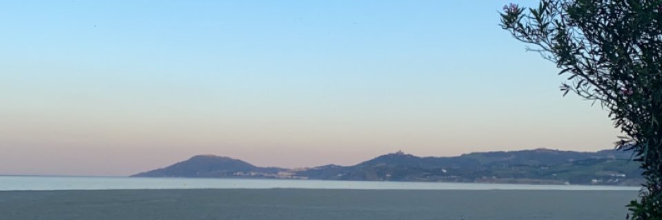 Tomato Ketchup 🥫 banner