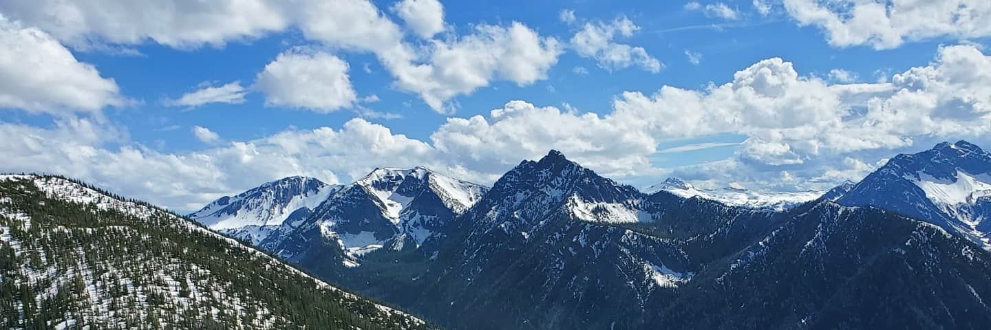 PerksofHarley's profile banner image