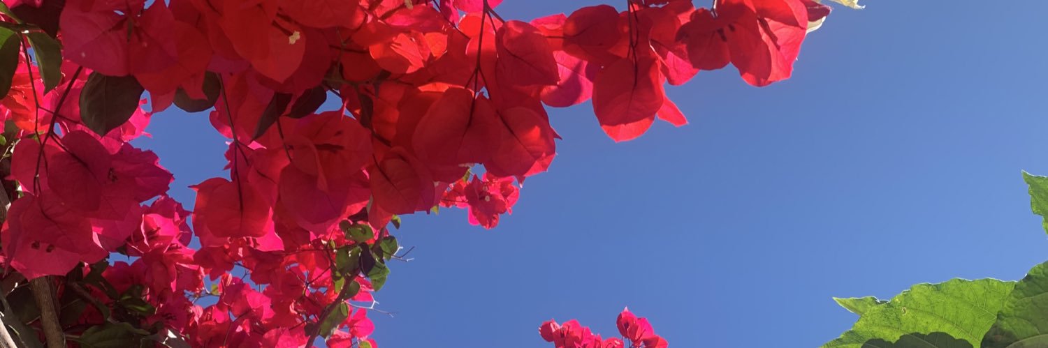 jeenxee's profile banner image