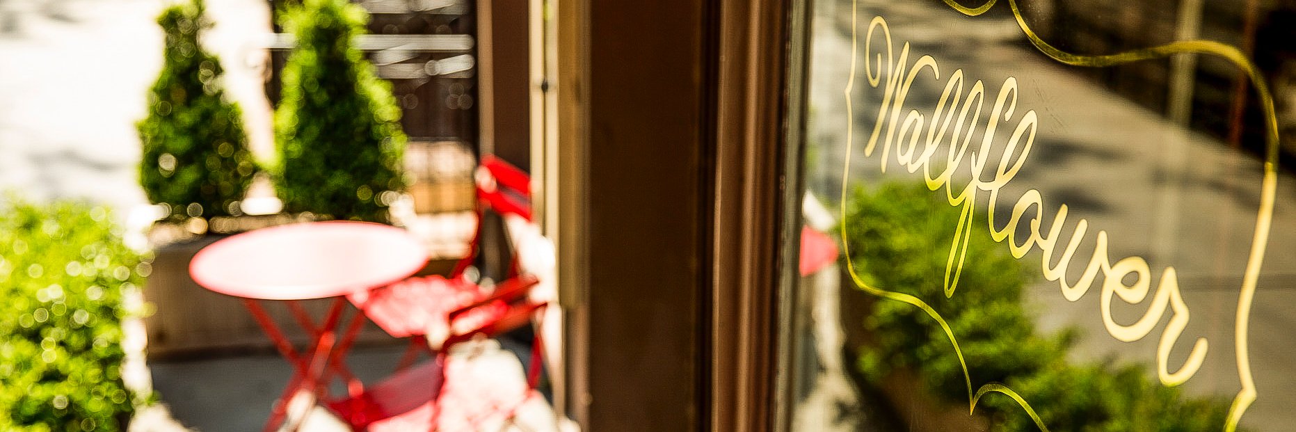 WallflowerNYC's profile banner image