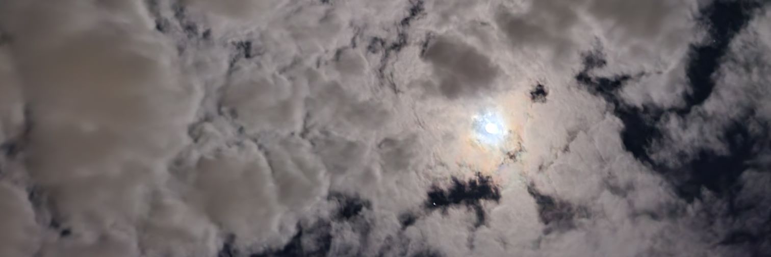 Knee_Co's profile banner image