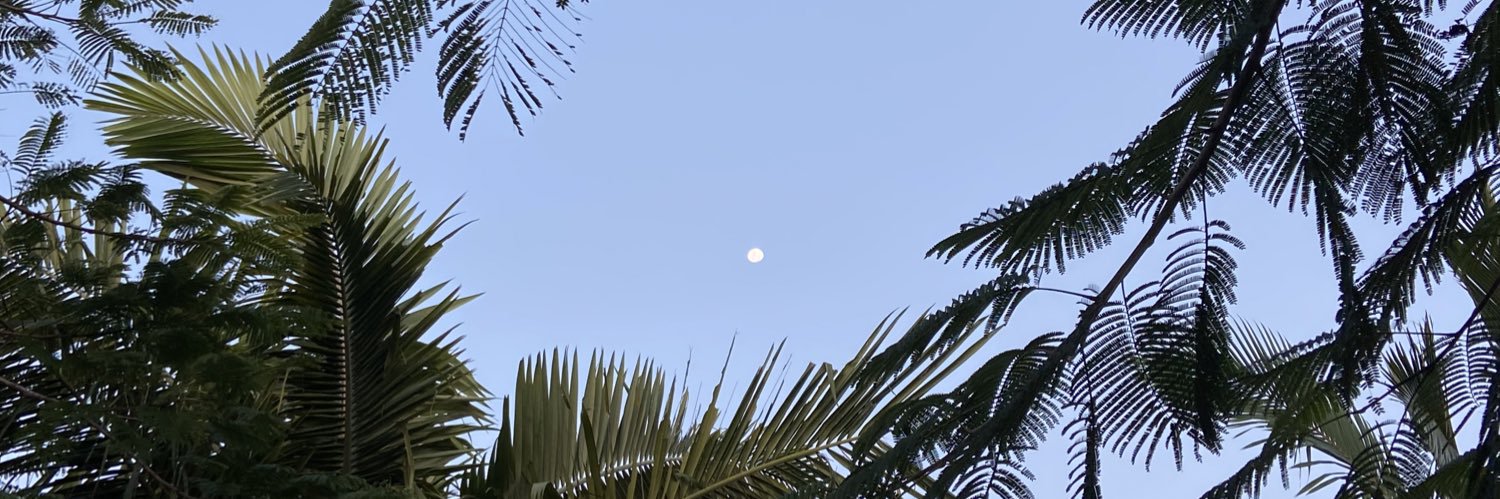 blueveias's profile banner image