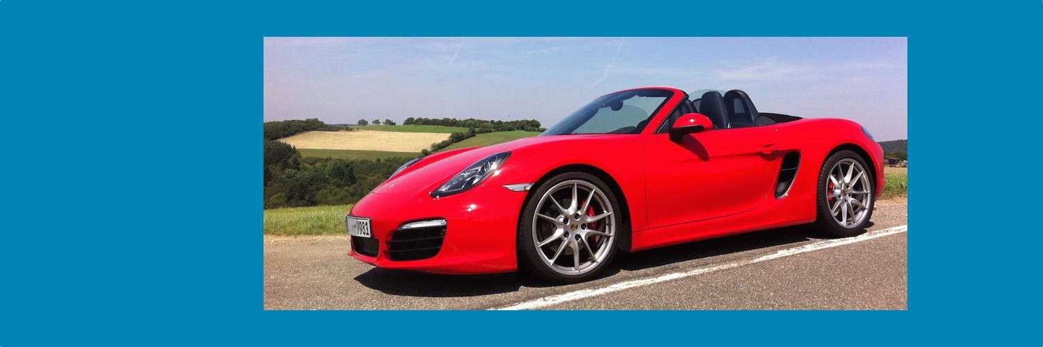 Birgit Haase 💙 banner