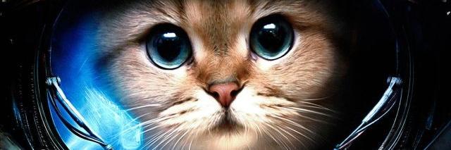 sanmander_91's profile banner image