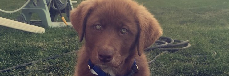 Vince Kindopp banner