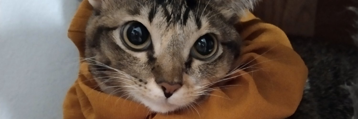 MINGMlAW's profile banner image