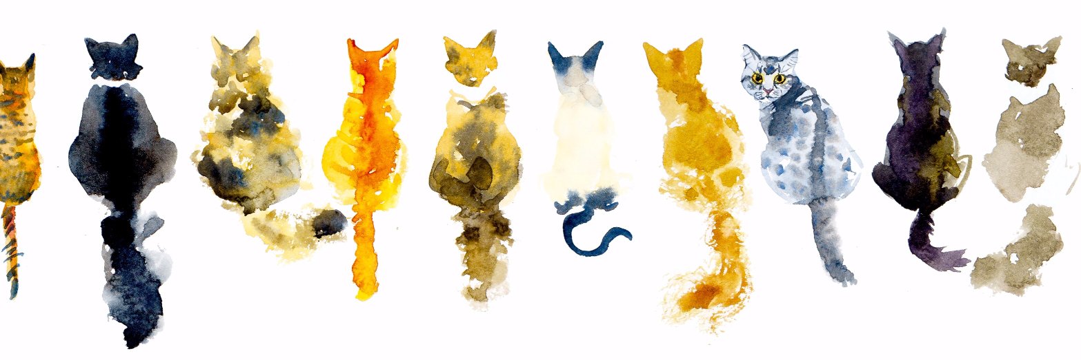 MissVinter's profile banner image