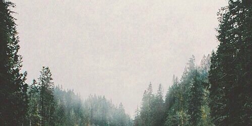 mmmkayy_'s profile banner image