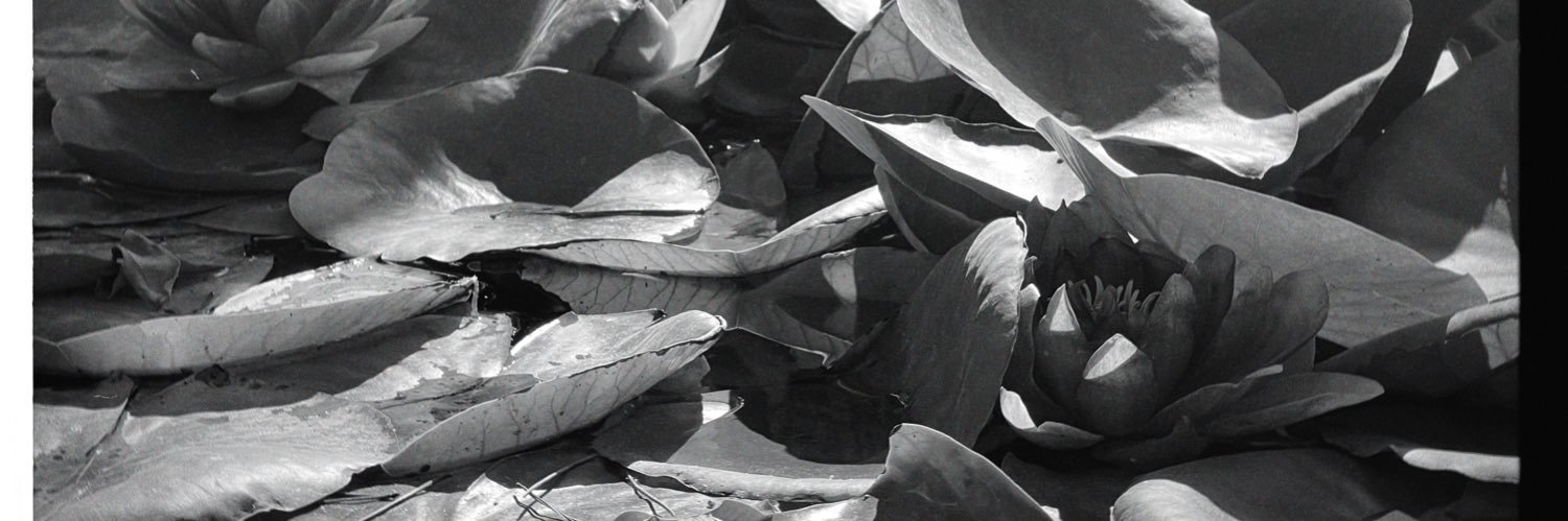 kanda2_'s profile banner image
