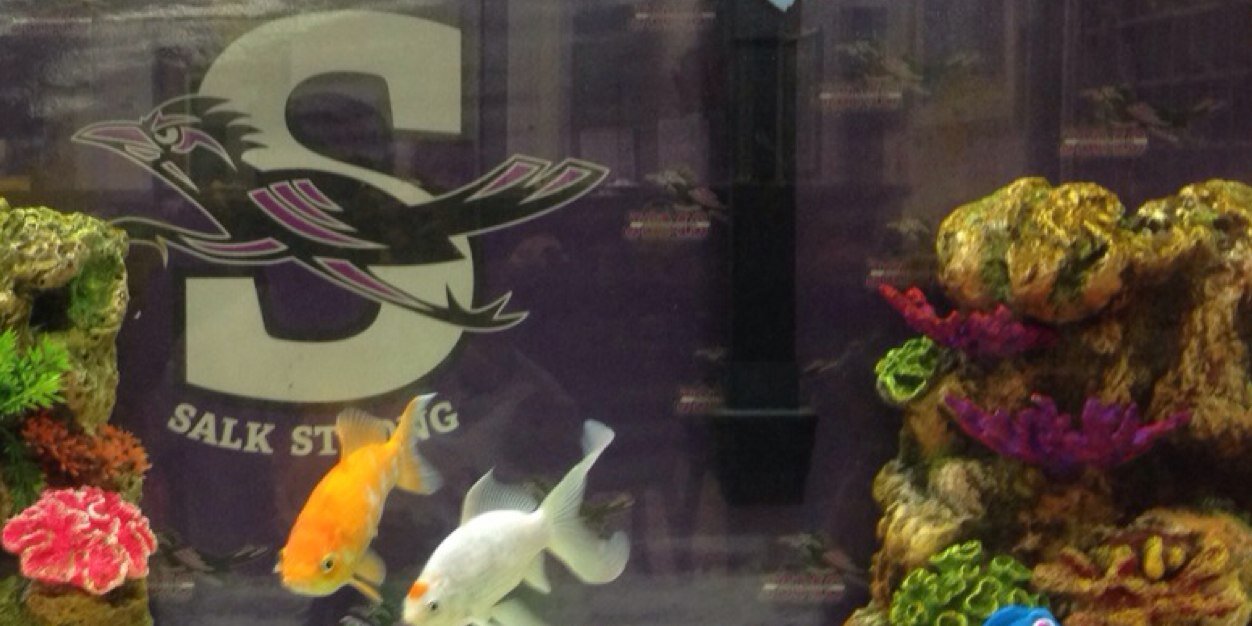 William Rezes banner