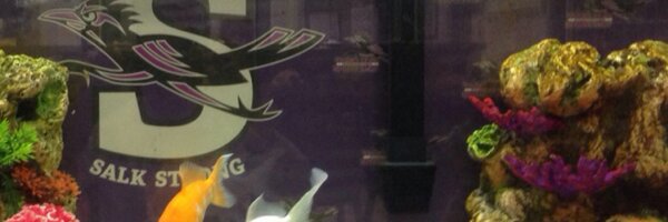 OB_JSMS_Rezes Profile Banner