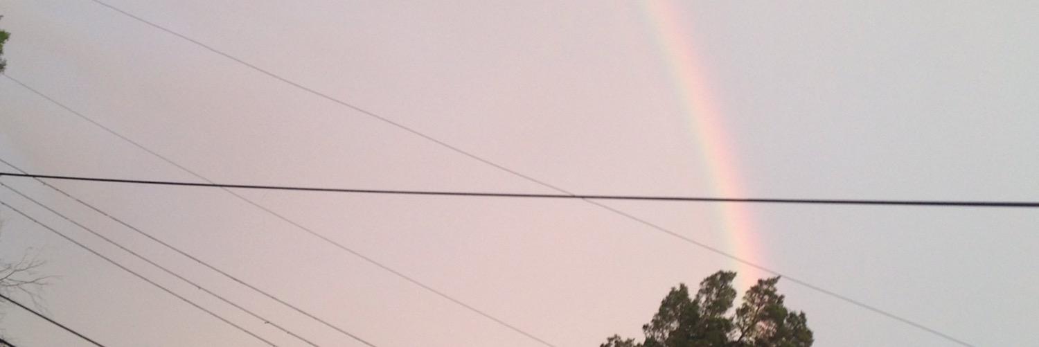 Maddy_Minecraft's profile banner image