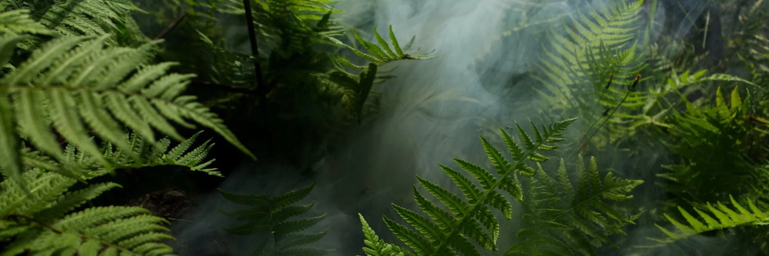 Jon Steingard banner