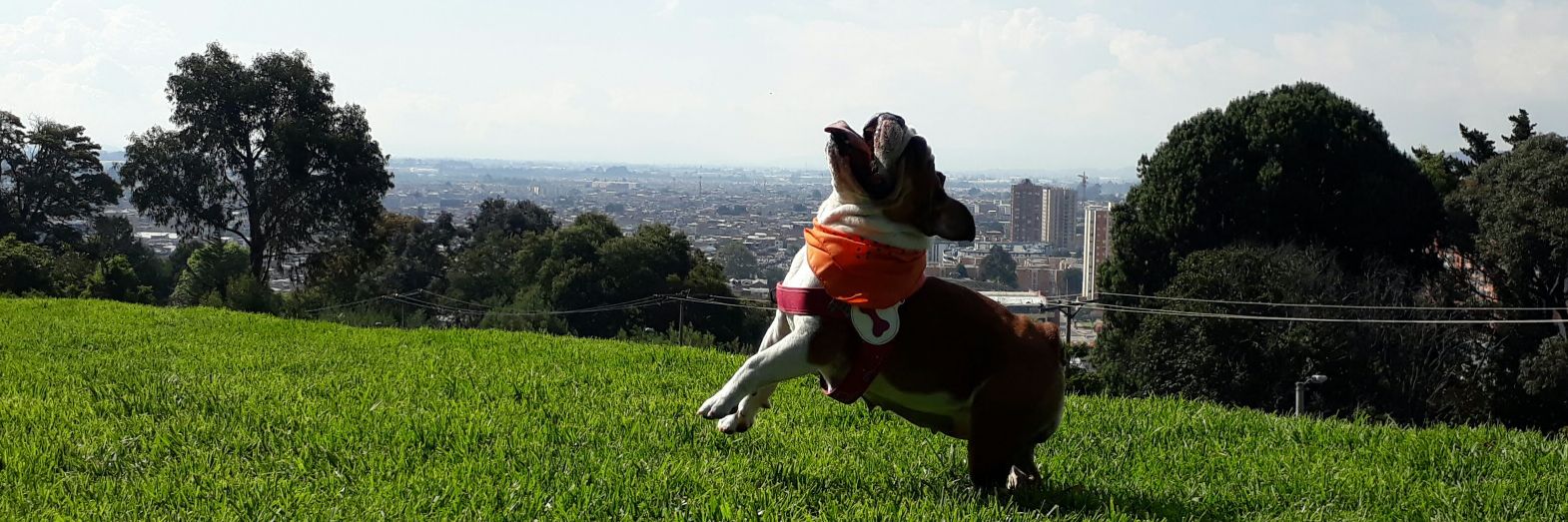 Nooexisto's profile banner image