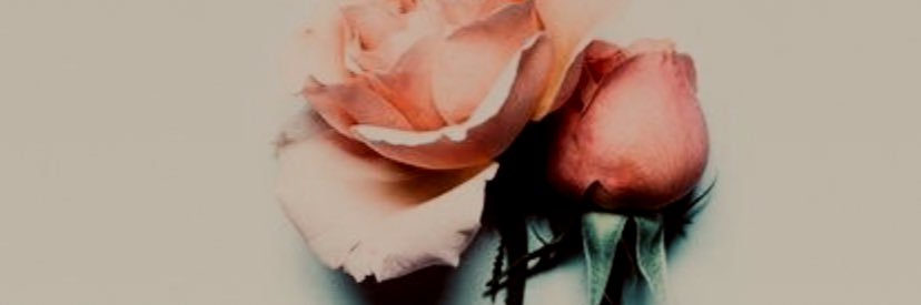 Magstrejo's profile banner image