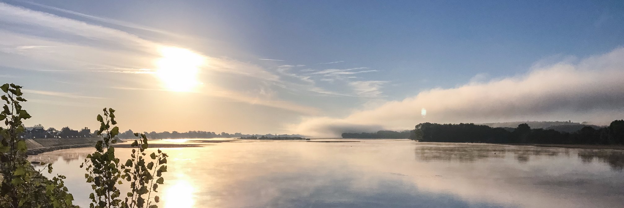 Nicolas Krzyzanowski banner