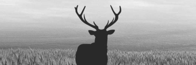 iputff's profile banner image