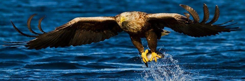 mightyarchangel's profile banner image