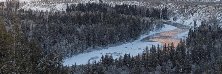 mochatrill's profile banner image