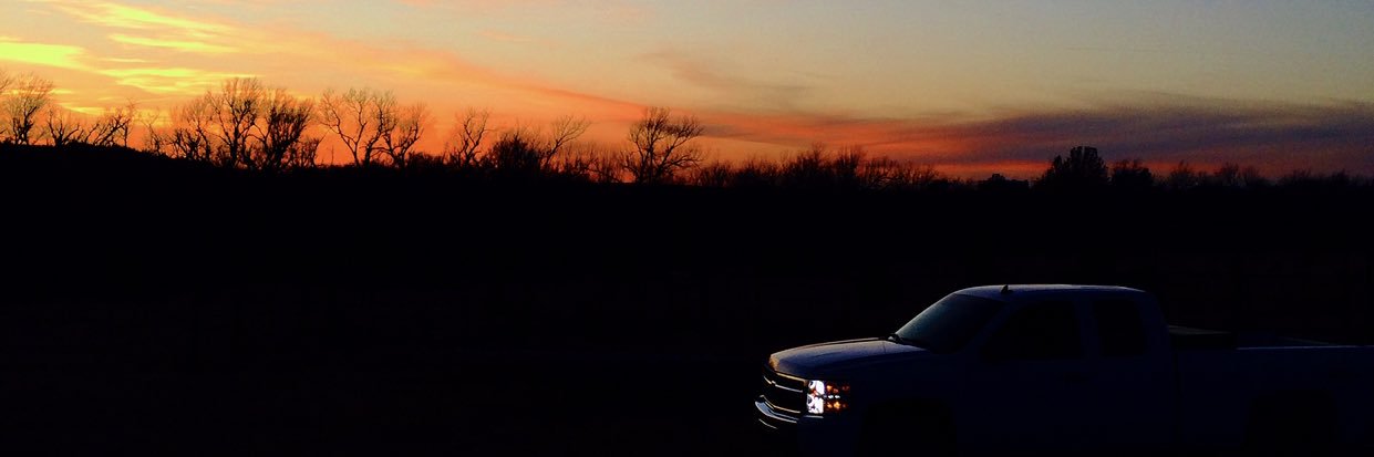 grellna934's profile banner image