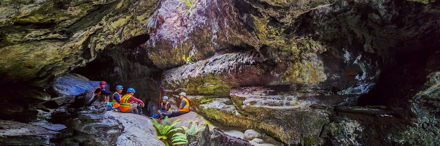 Mike Toillion banner