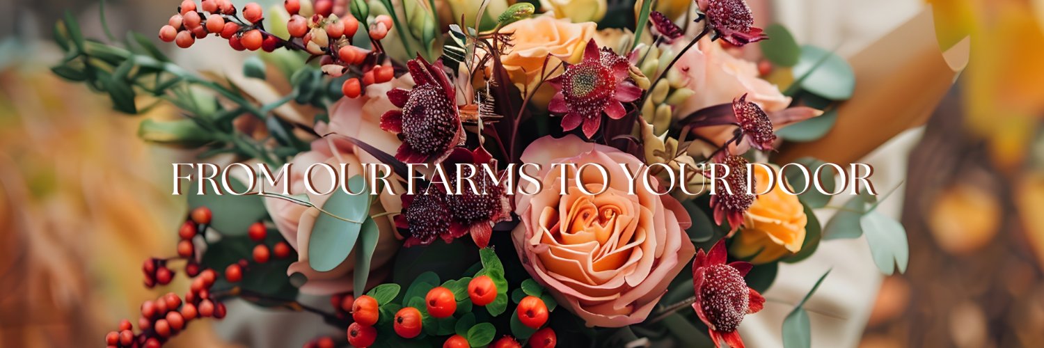 bloomingmore's profile banner image